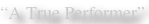 shapeimage_4_link_0